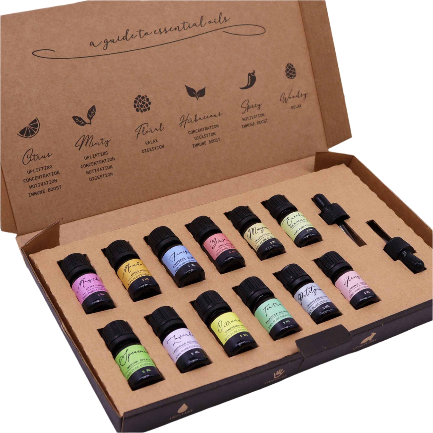 Aromatherapy Essential Oil Set is an amazing gift for the home and mind. This set contains 12 essential oils (5ml each) and 2 droppers. &nbsp;Our Essential oil gift set combines a variety of floral, minty, woody, spicy and herbal scents.&nbsp;

100% Pure

Handmade

Vegan Friendly

Cruelty-Free

What is in the box?

5ml Marjoram Essential Oil&nbsp;

5ml Eucalyptus Essential Oil&nbsp;

5ml Bergamot Essential Oil&nbsp;&nbsp;

5ml Mandarin Essential Oil&nbsp;

5ml Spearmint Essential Oil &nbsp;

5ml Juniper Ess